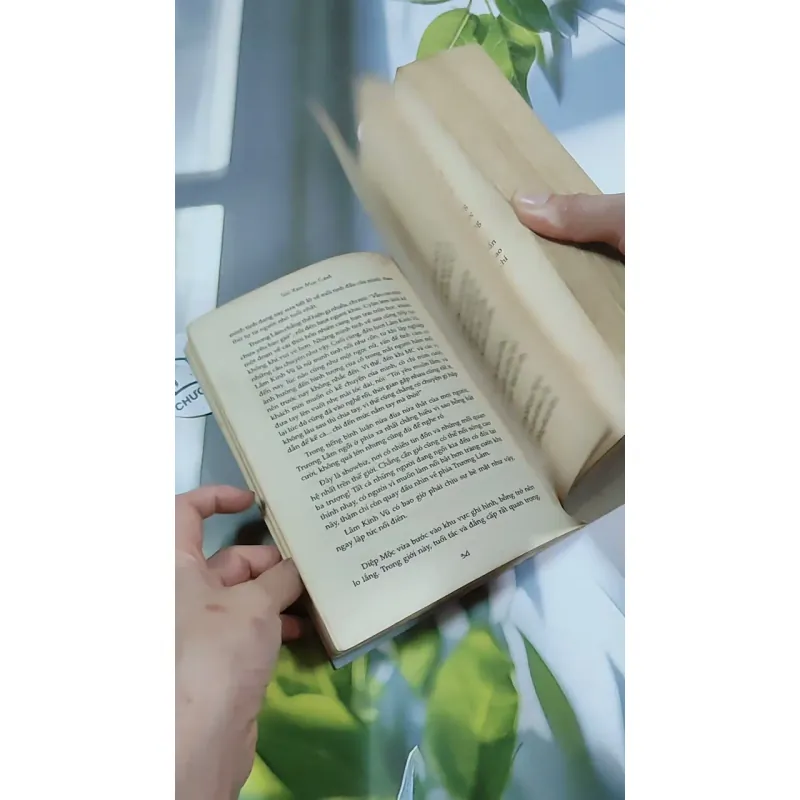 Ai Còn Chờ Ai Giữa Mùa Hoa Nở - Sói Xám Mọc Cánh 744737