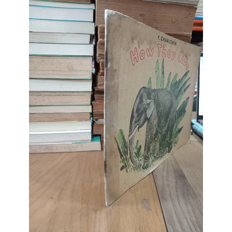 How they live - Y. Charushin 797808