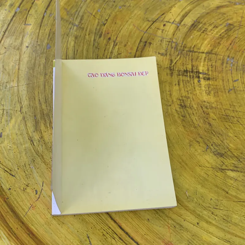 TẠO DÁNG BONSAI ĐẸP - THANH LOAN 759669