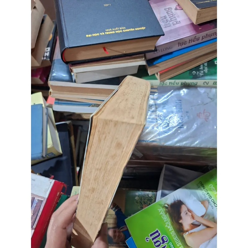 Bát phố của bảo sinh 936594