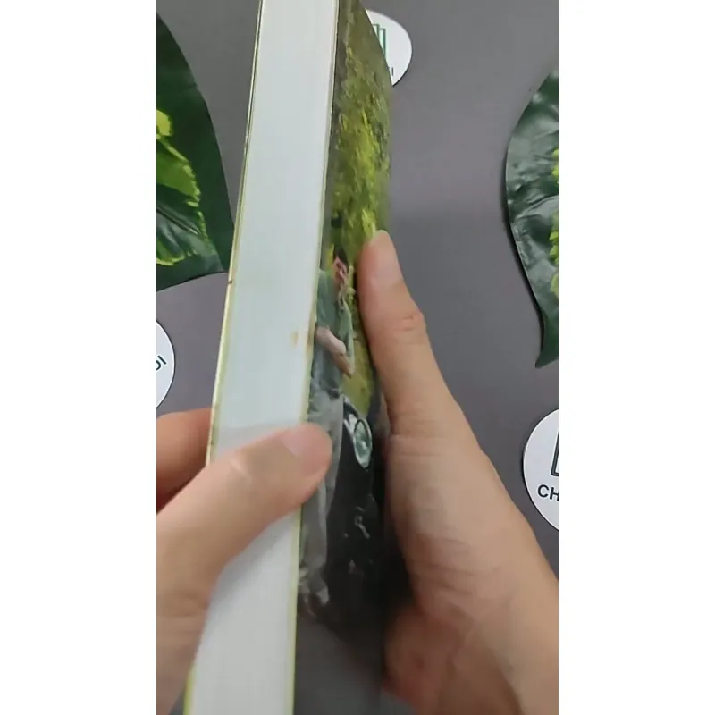 Săn Đuổi (2012) - Clive Cussler 603336