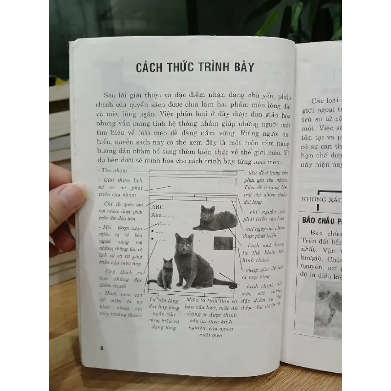 Nghệ thuật chăm sóc mèo – David Alderton 574085