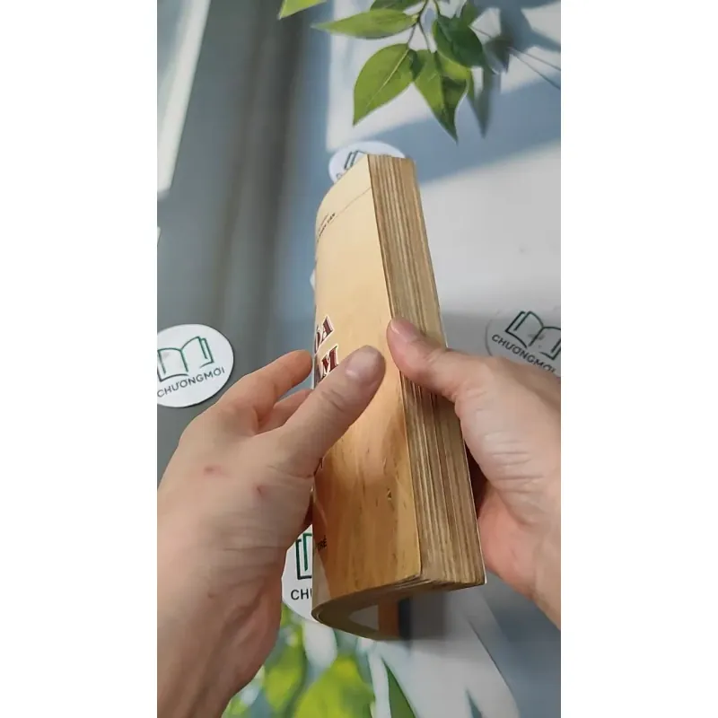 Cơ Sở Văn Hóa Việt Nam - Lê Văn Chưởng 727231