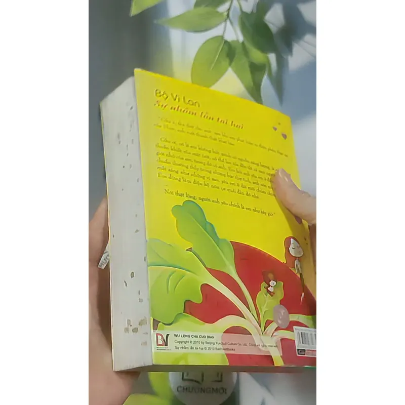 Sự nhầm lẫn tai hại - Bộ Vi Lan 688633