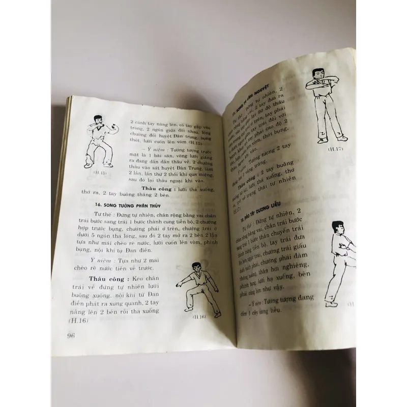 NGHẠNH CÔNG TUYỆT KỸ ( Võ Sư Nguyễn Tường) 697867