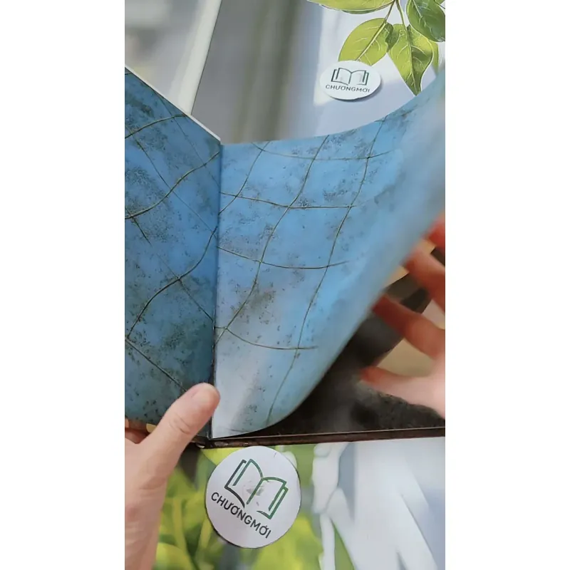 [Tặng nẹp góc] Truyện thiếu nhi Hàn Quốc: Moyamo Anu 27 -  모야모 아누와: 은혜 갚은 물고기 732020