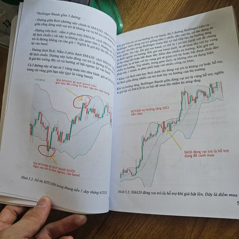 Giải mã biểu đồ bitcoin
 757596