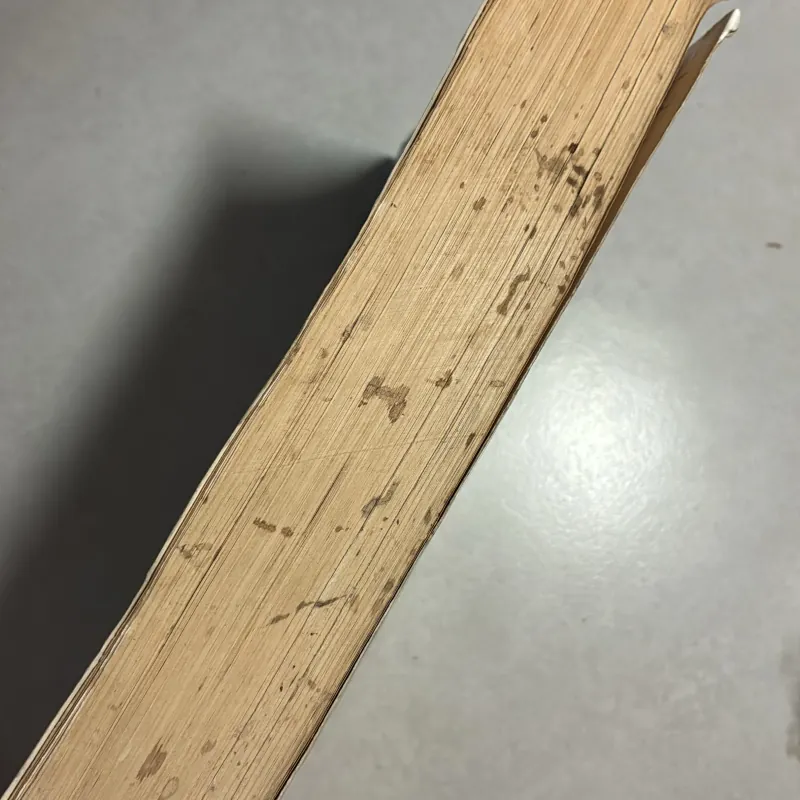 Phục hồi trẻ tàn tật tại cộng đồng - David Werner 783144