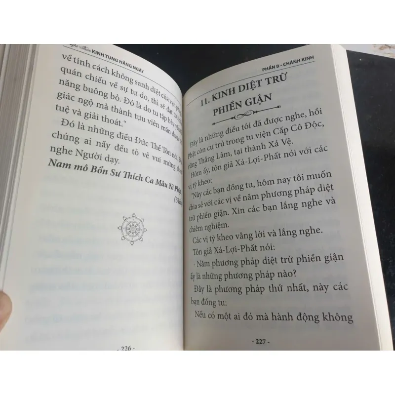 Nghi Thức Kinh Tụng Hàng Ngày - Thích Phước Tiến mới 90% 697558