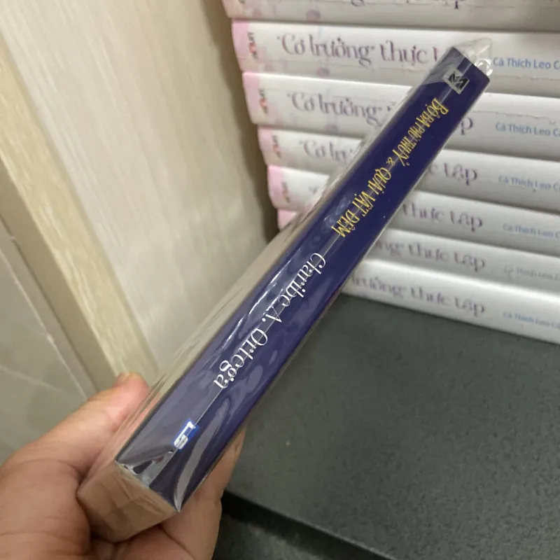 (Phiêu lưu) - Bộ ba phù thuỷ và quái thú đêm - Claribe A. Ortega 990966