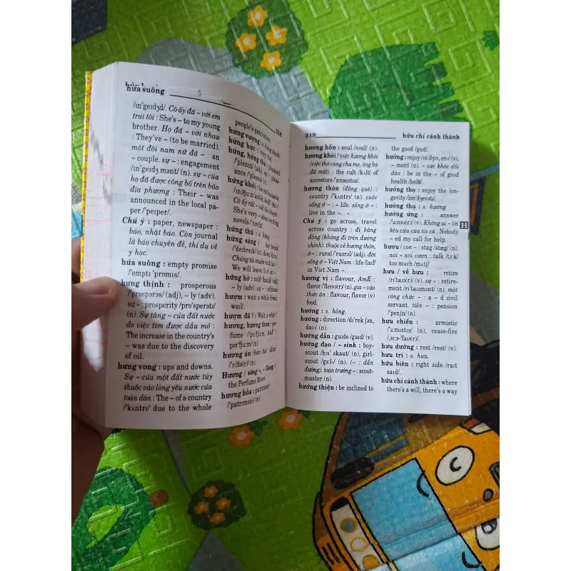 Từ điển Việt - Anh (The Vietnamese - English Dictionary) 1024159