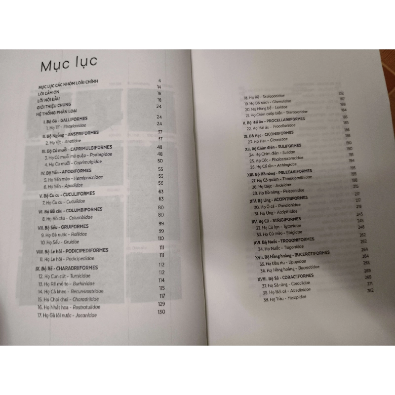 Remake Các loài chim Việt Nam - 821 trang - LỊCH SỬ - CHÍNH TRỊ - TRIẾT HỌC - ANTQ2911-75 921008