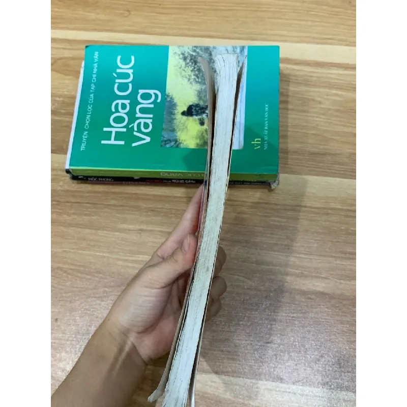 Sáng ngời gương nhân hậu- Minh Giang 576869