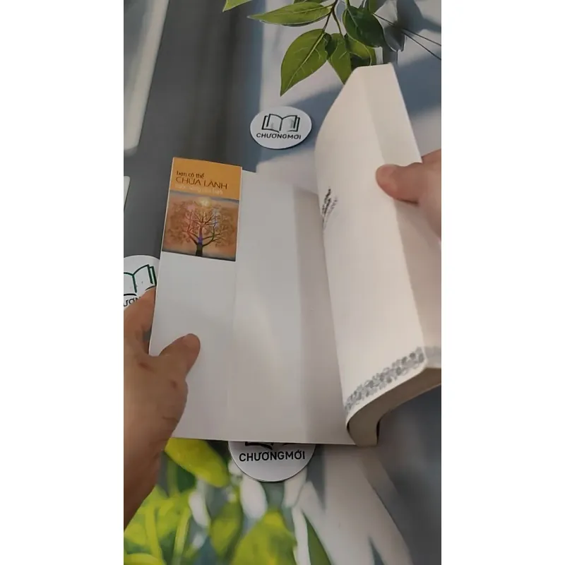 Bạn Có Thể Chữa Lành Cuộc Sống Của Bạn - Louise L. Hay 727270