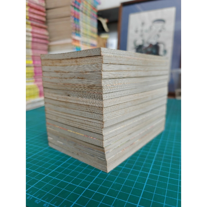 Truyện tranh kaze hikaru 494076