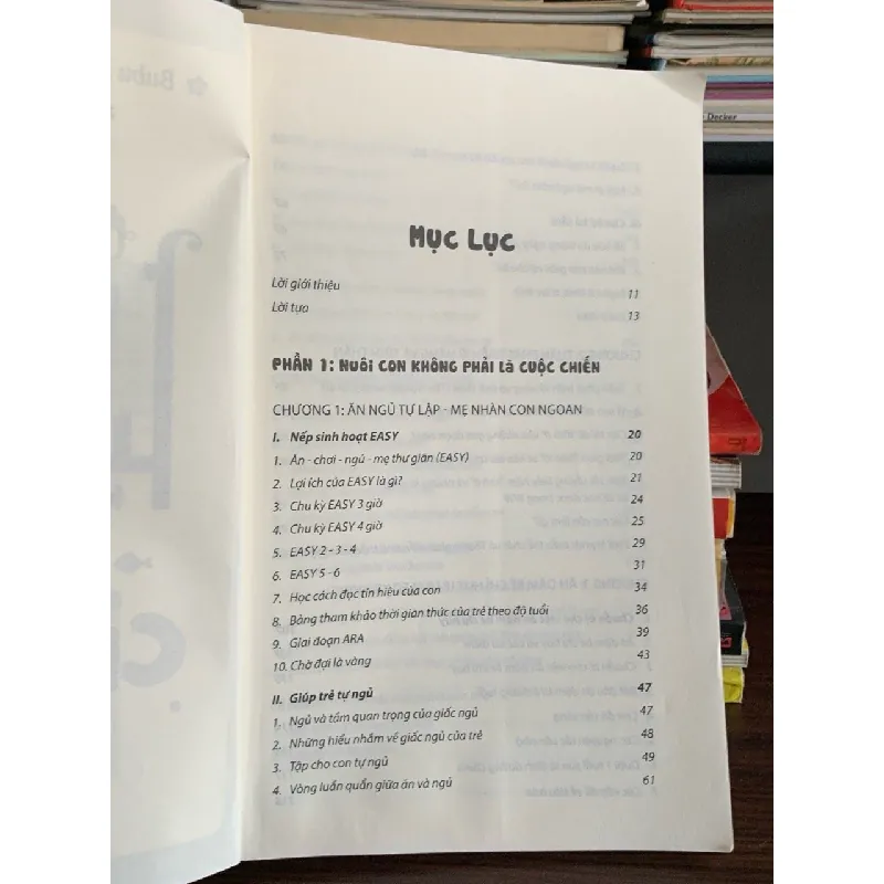 Nuôi con không phải là cuộc chiến (Tập 1) – Bubu Huong, Mẹ Ong Bông, Hachun Lyonnet 573996