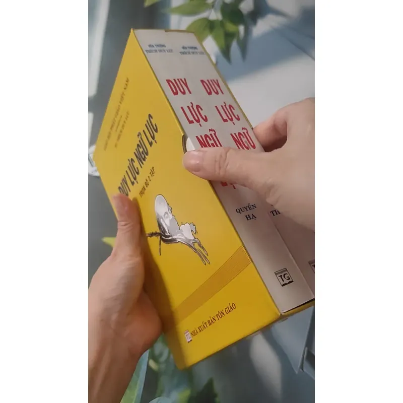 [MIỄN PHÍ BỌC SÁCH] Duy Lực Ngữ Lục - Bộ 2 tập - Thích Duy Lực 928500