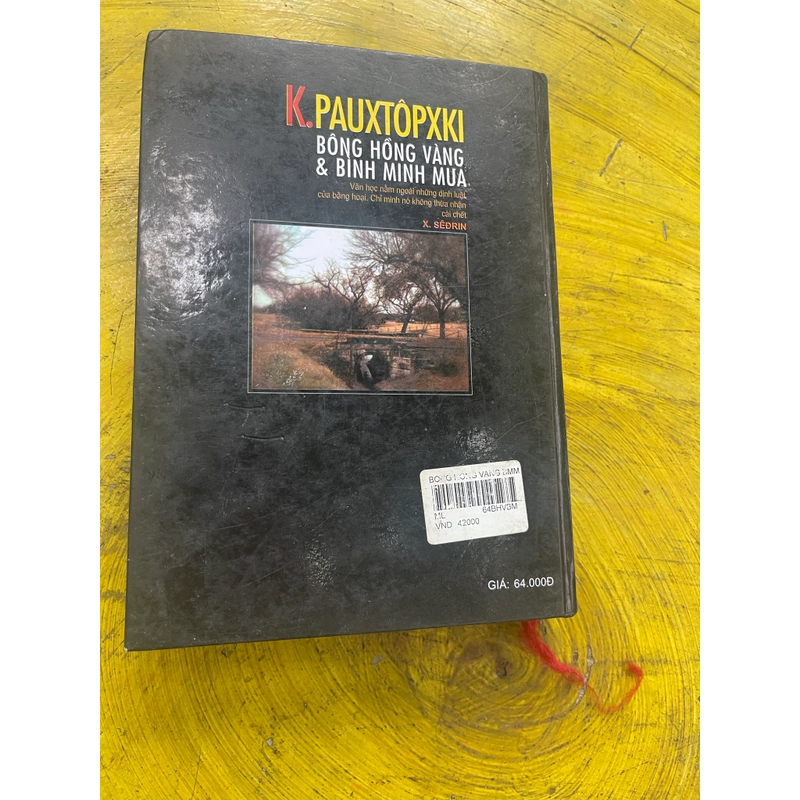 BÔNG HỒNG VÀNG VÀ BÌNH MINH MƯA- K. PAUTOPSKY 539545