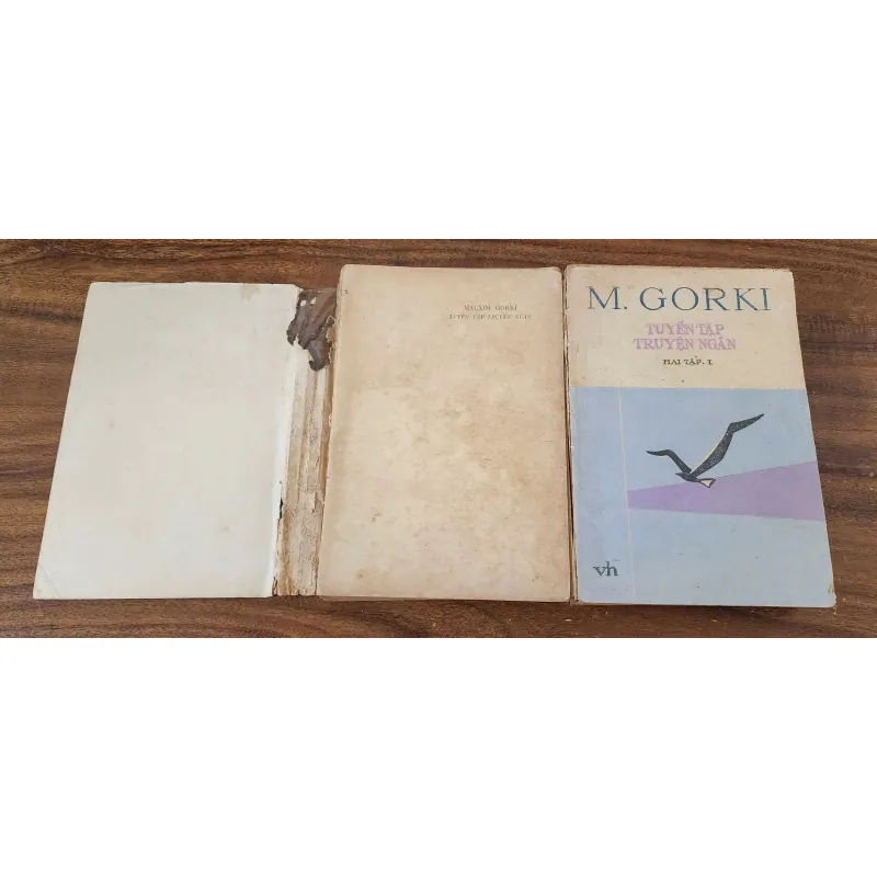 Combo 2q truyện ngắn của Maxim Gorky  763054