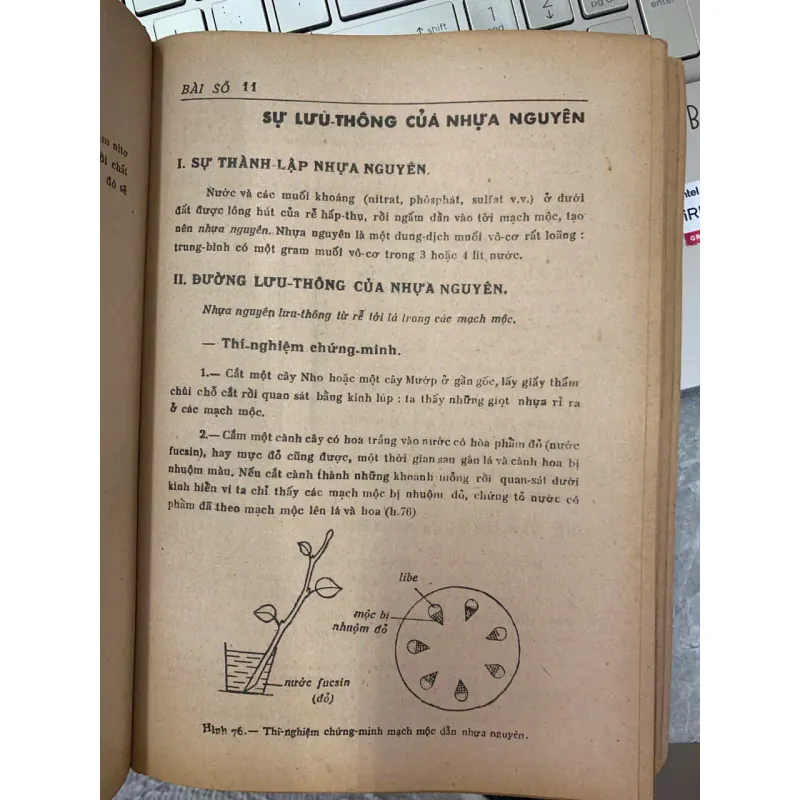 VẠN VẬT HỌC LỚP MƯỜI MỘT A - ĐỖ DANH TẦM & NGUYỄN VĂN LONG 718338