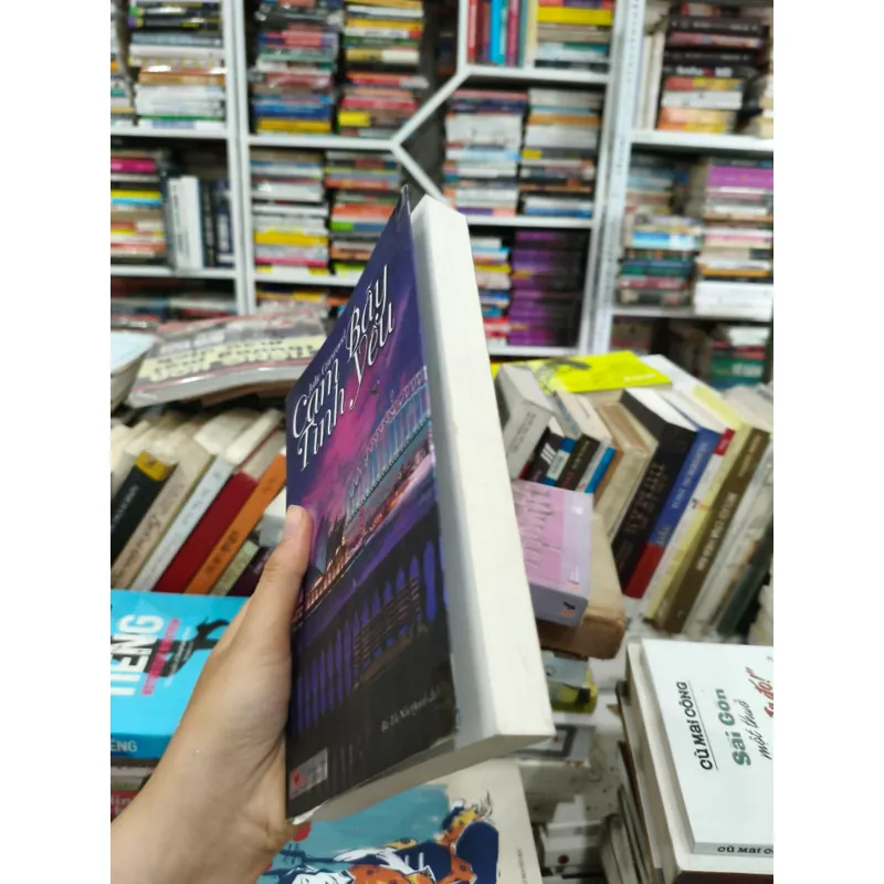 Cạm bẫy tình yêu 🌱 693011