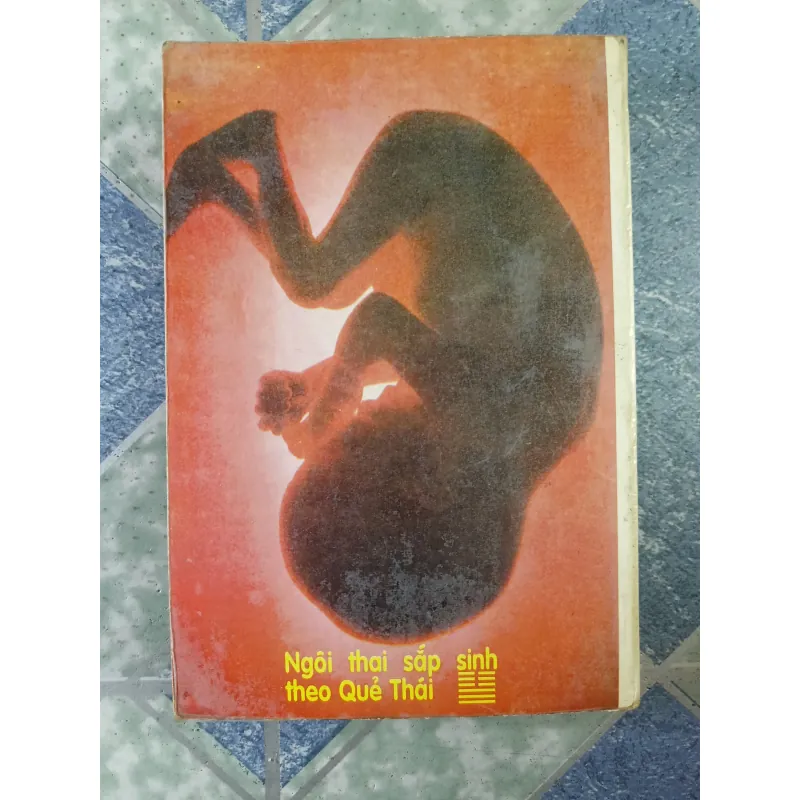 Khí công và y học hiện đại - Gs Ts Ngô Gia Hy & Bùi Lưu Yêm & Ngô Gia Lương 700404