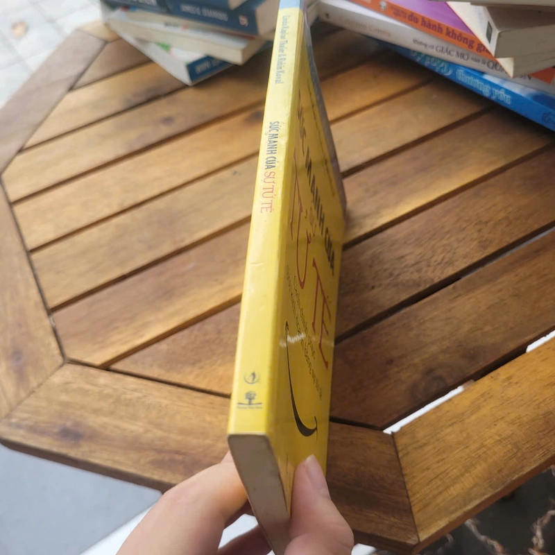 Sức mạnh của sự tử tế	Linda Kaplan Thaler & Robin Koval 519160
