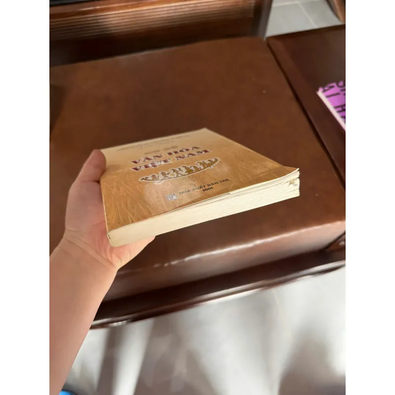 CƠ SỞ VĂN HÓA VIỆT NAM (LÊ VĂN CHƯƠNG)- K5 1031227