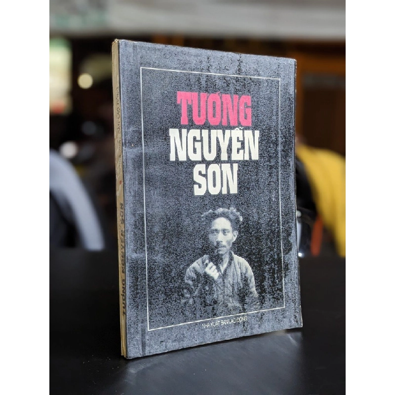 Tướng Nguyễn Sơn 338487