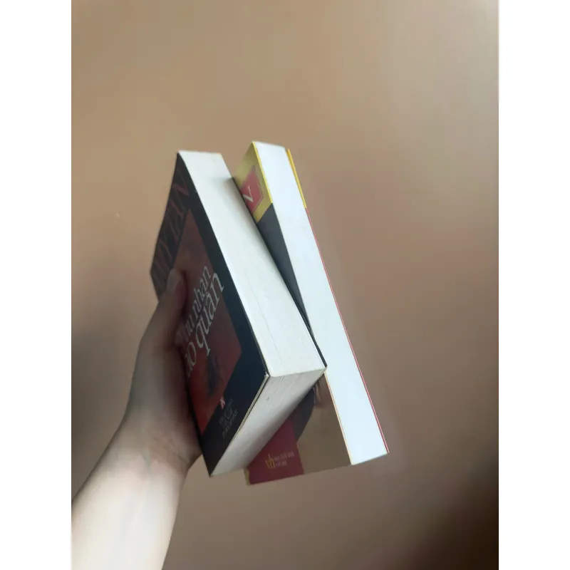 Combo Sách Amy Tan - Phu Nhân Táo Quân/Những Linh Cảm Bí Ẩn 737986