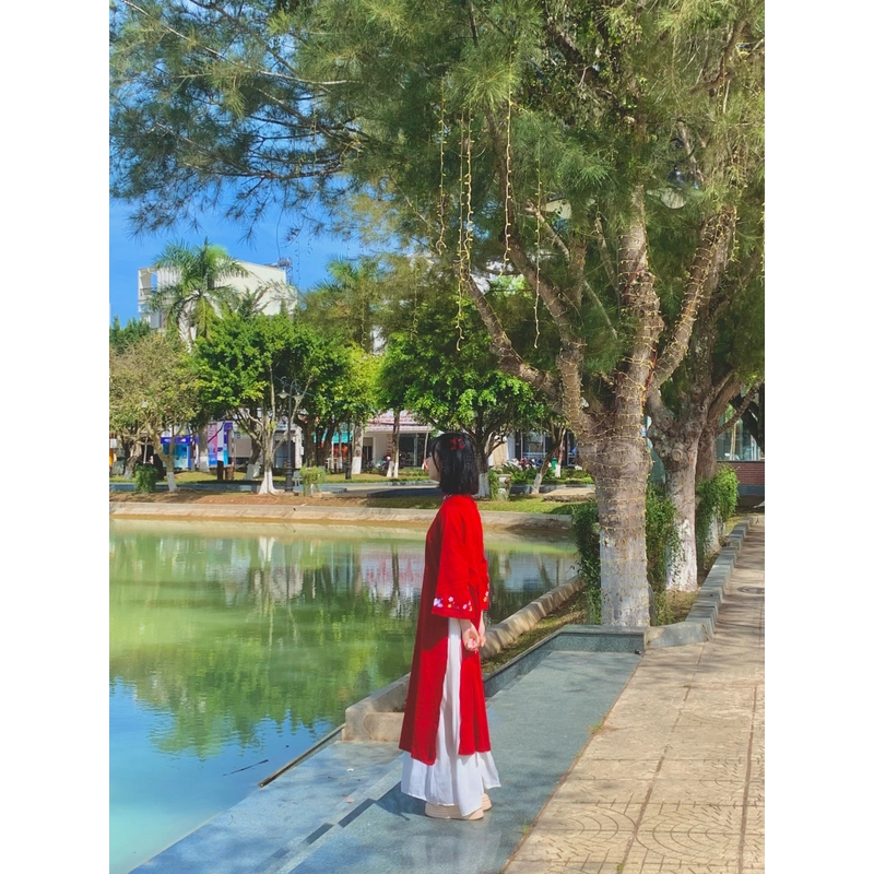 áo dài tết 501622