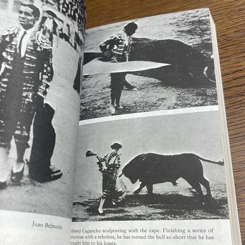 Death in the afternoon Ernest Hemingway 493567