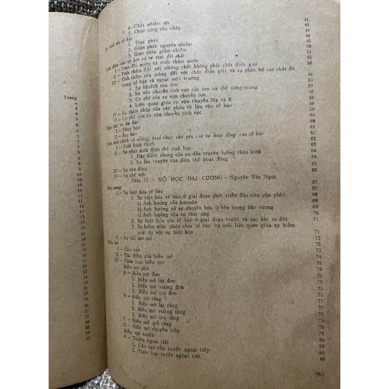 tế bào, mô học, phôi thai học 290 trang khổ lớn  1009098