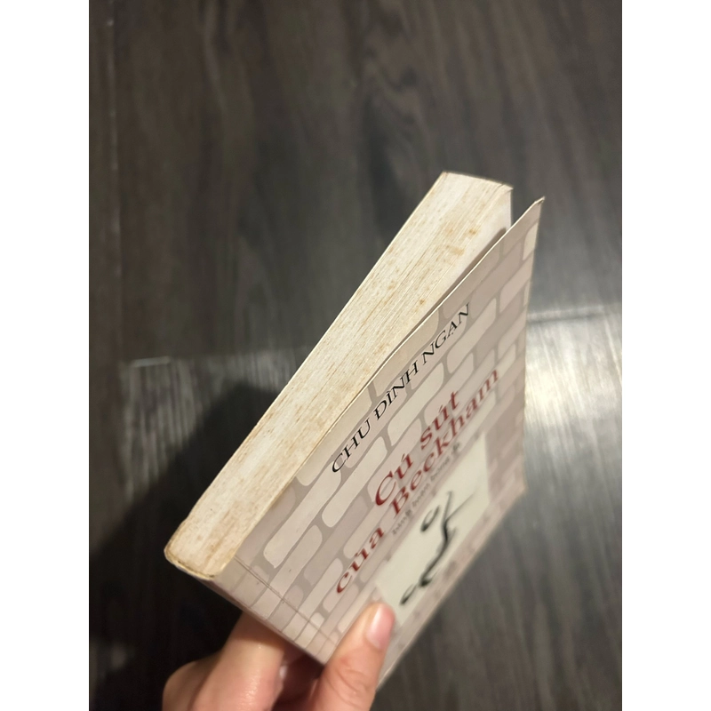 Cú sút của Beekham 320131