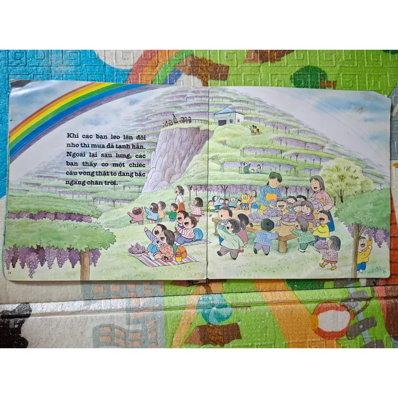 Đi Dã Ngoại Ngày Mưa 991657