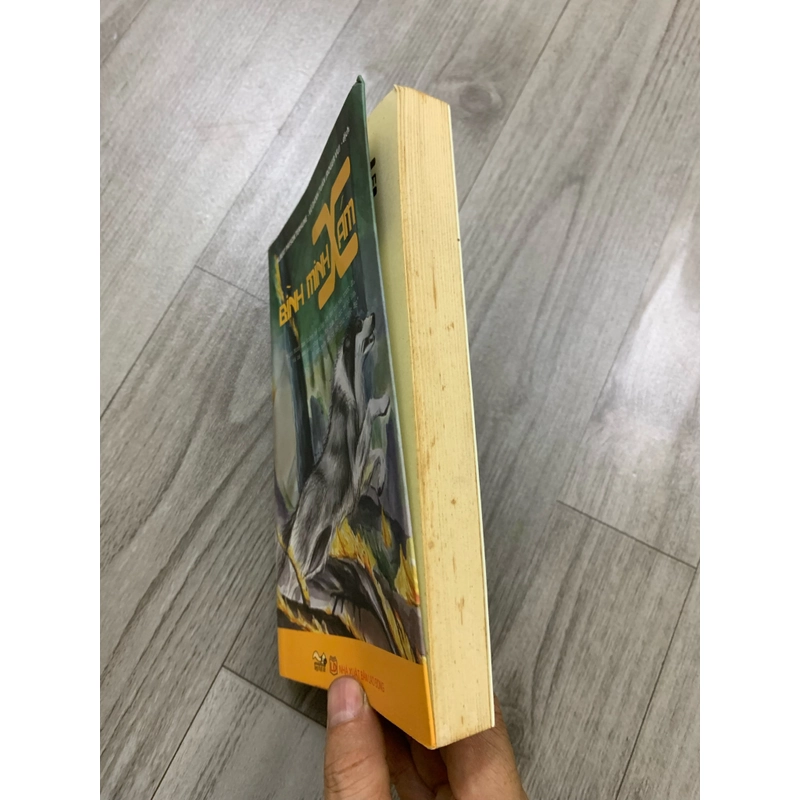 Bình minh xám. 999 458308