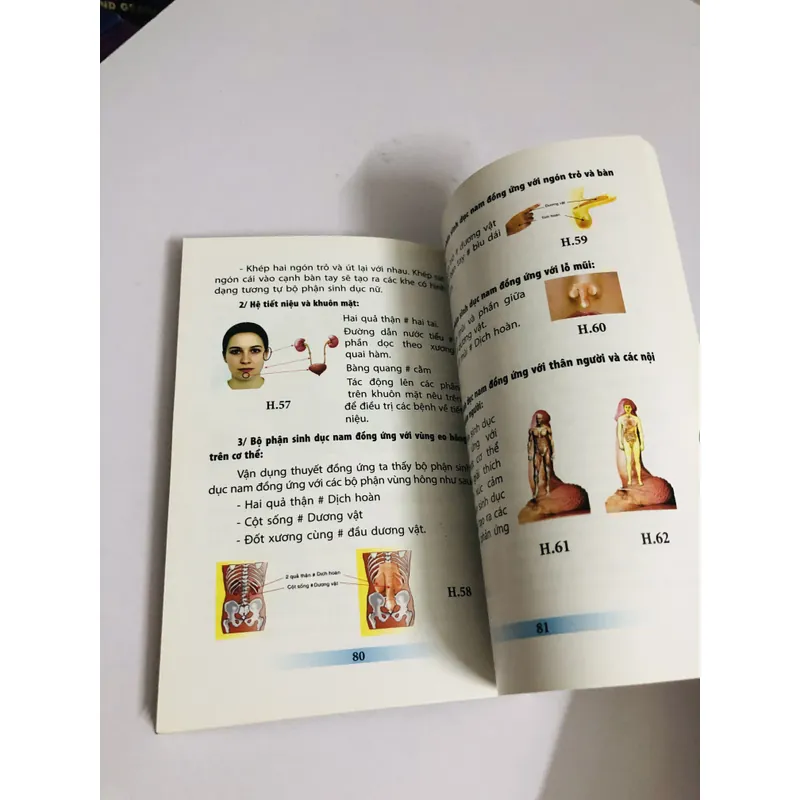 CHỮA BỆNH BẰNG ĐỒ HÌNH PHẢN CHIẾU & ĐỒNG ỨNG THEO PHƯƠNG PHÁP DIỆN CHẨN ĐIỀU KHIỂN LIỆU   604731