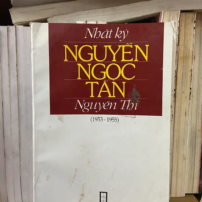 Nhật ký Nguyễn Ngọc Tấn - Nguyễn Thi 798551