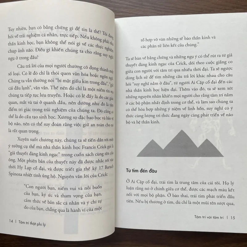 Tâm trí thật phi lý - Daniel Richardson 970512