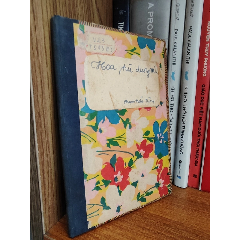 Hoa phù dung núi - Phạm Hữu Tùng 1028042