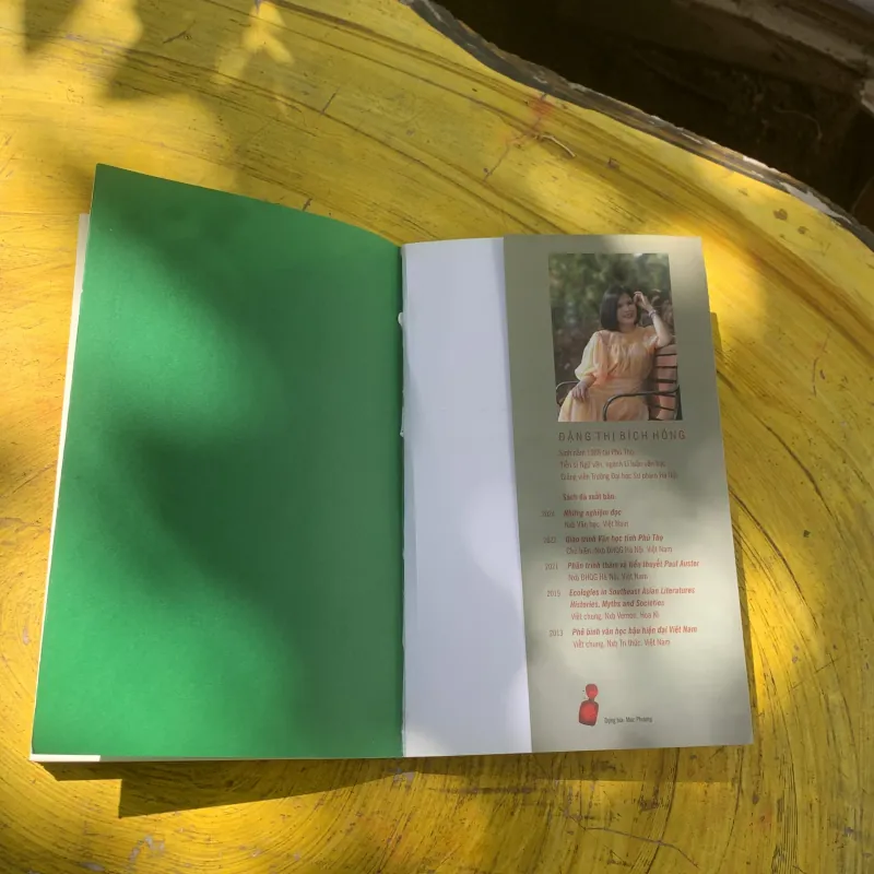 NHỮNG NGHIỆM ĐỌC- ĐẶNG THỊ BÍCH HỒNG- tiểu luận & phê bình  784296