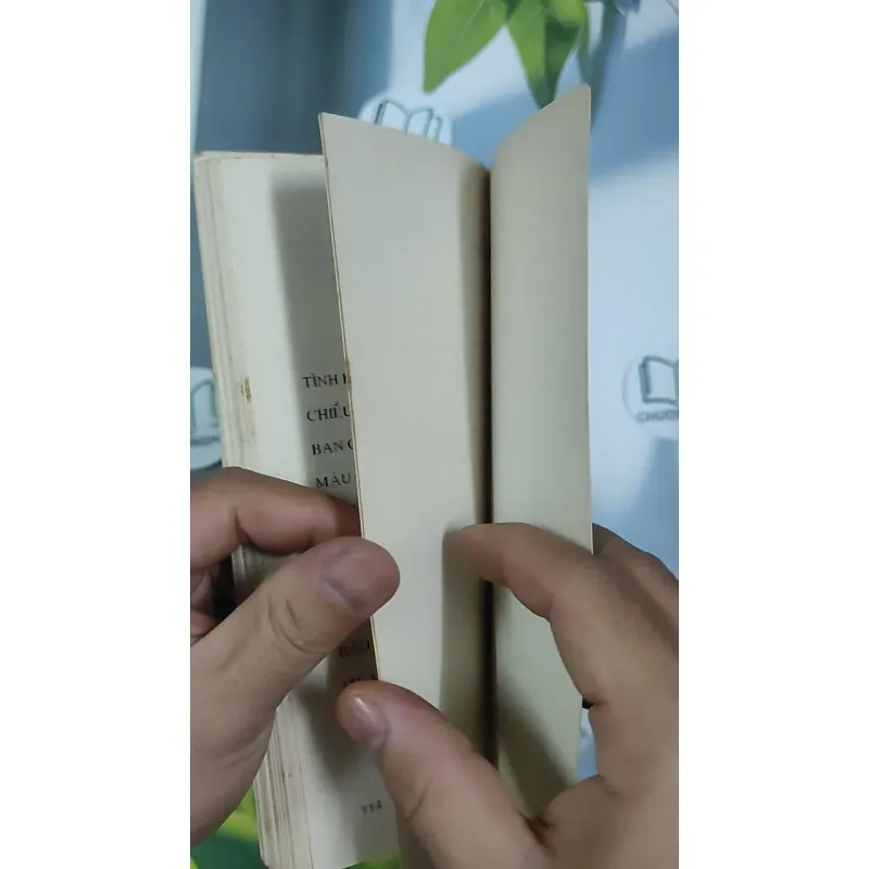 [XƯA] Tình Khúc (1995) - Trang Hạ 798487