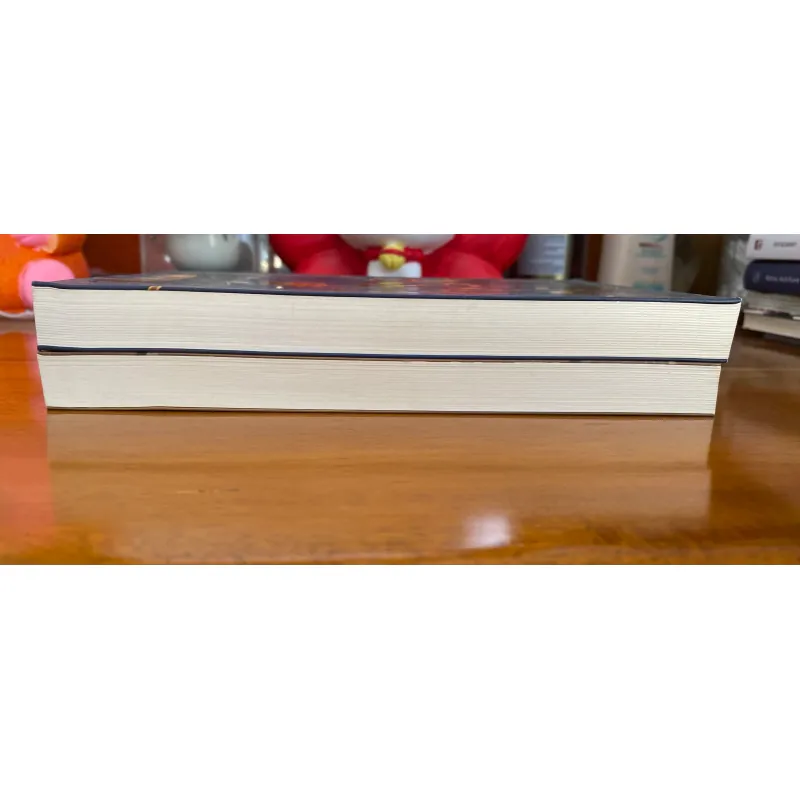 Combo tiểu thuyết như mới 80% 931985