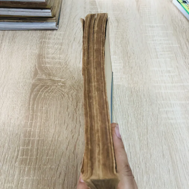 VĂN HOÁ ÓC EO VÀ CÁC VĂN HOÁ CỔ Ở ĐỒNG BẰNG CỬU LONG  960257