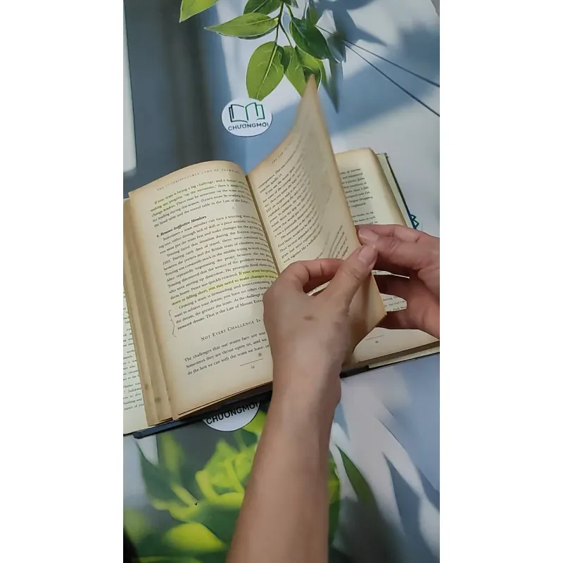 [MIỄN PHÍ BỌC SÁCH] The 17 Indisputable Laws of Teamwork - John C. Maxwell 750753