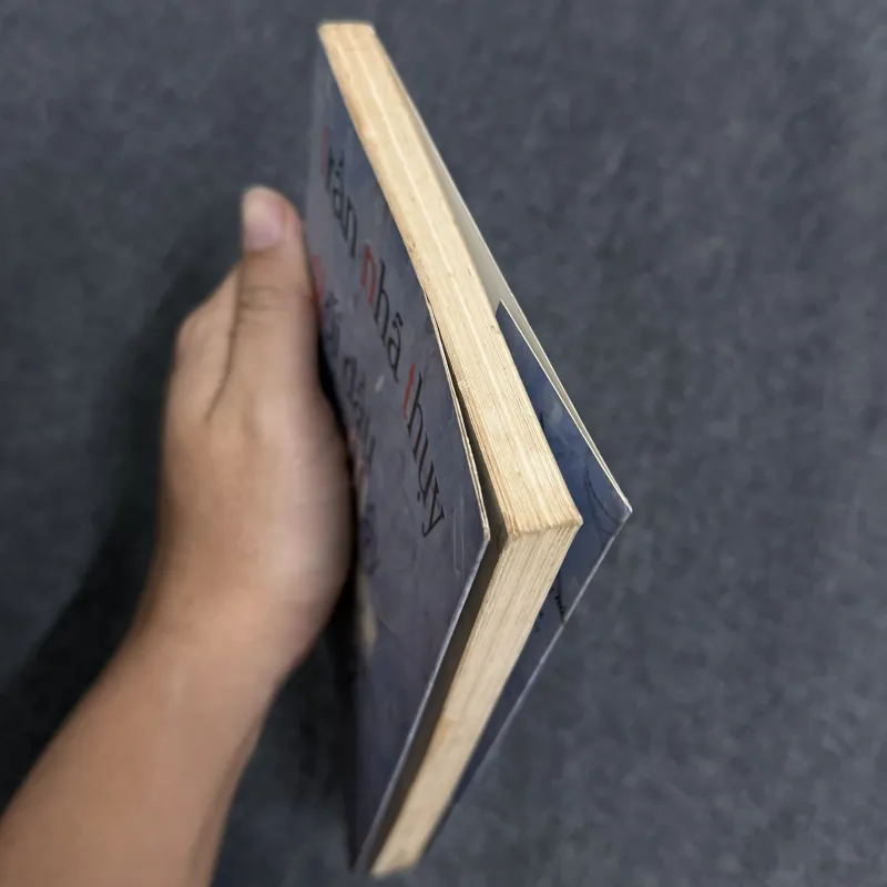 Gối đầu trên mây - Trần Nhã Thụy 1010590