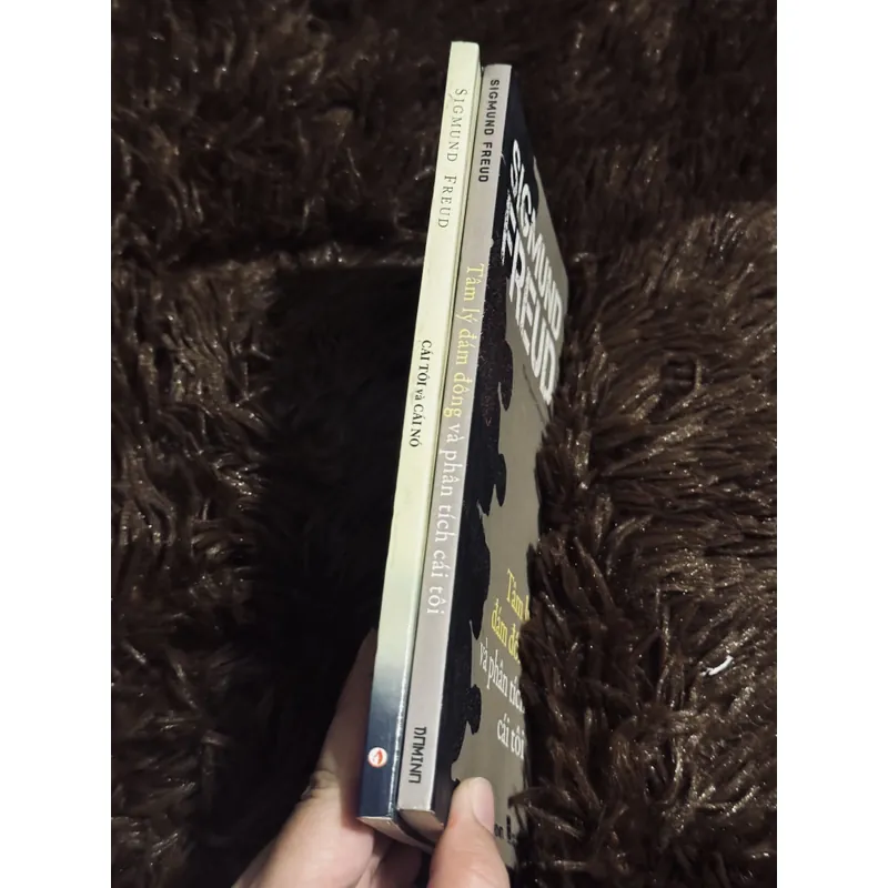 Combo 2c Freud 716754