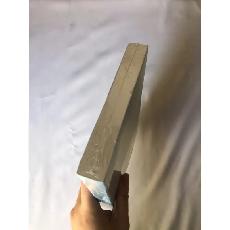 Trứng Chim Cúc Cu Này Thuộc Về Ai? - Higashino Keigo 798916