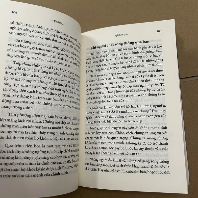 KARMA NGHIỆP CHỈ DẪN KIẾN TẠO VẬN MỆNH CỦA MỘT YOGI 569310