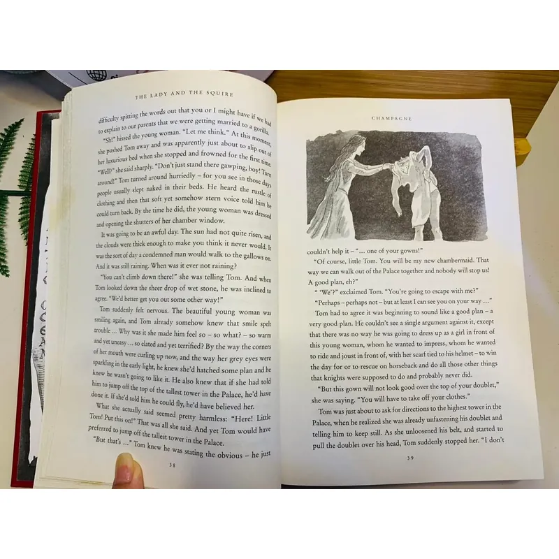 [Sách tiếng Anh 2hand] Like new 90% - 💫 The Lady and the Squire – Terry Jones 604956